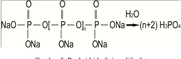 Gambar 3. Reaksi hidrolisis polifosfat  