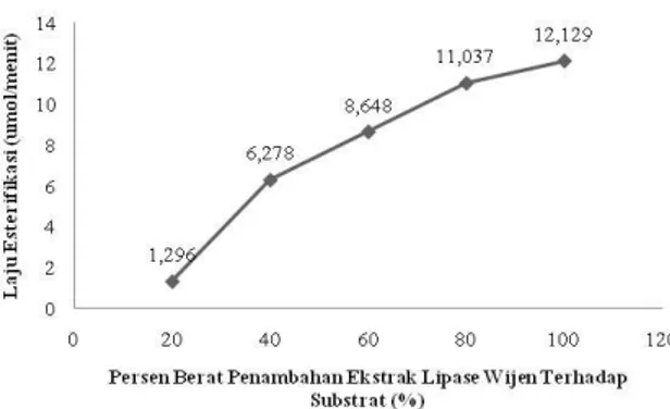 Gambar  7.    Pengaruh  persen  berat  penambahan  ekstrak  lipase  wijen  terhadap  aktivitas spesifik esterifikasi 