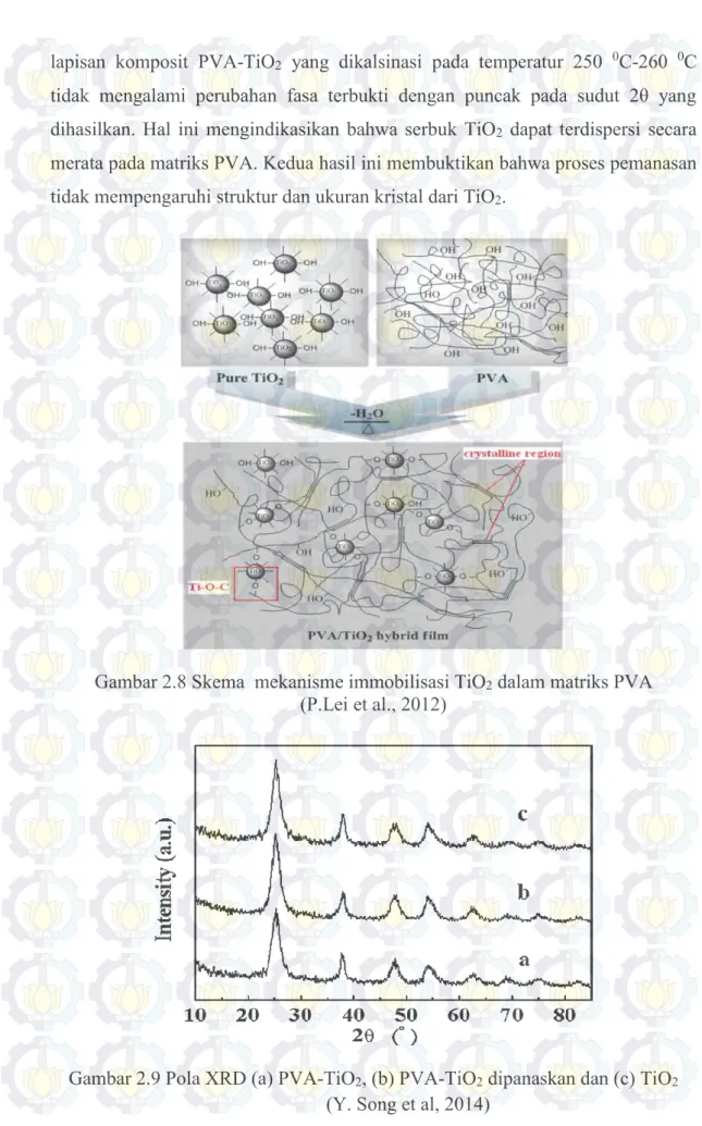 Gambar 2.8 Skema  mekanisme immobilisasi TiO 2  dalam matriks PVA  