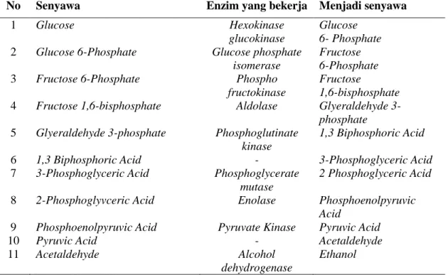 Gambar 1.  Skema Fermentasi Alkohol 