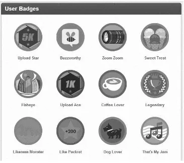 Gambar II-19 StreamZoo Badges 