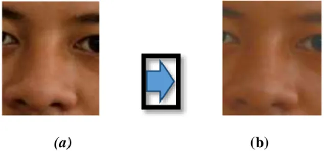 Gambar 7.  Proses sebelum (a) dan setelah (b) reduksi noiseGambar 6.  Hasil Cropping Bagian Hidung
