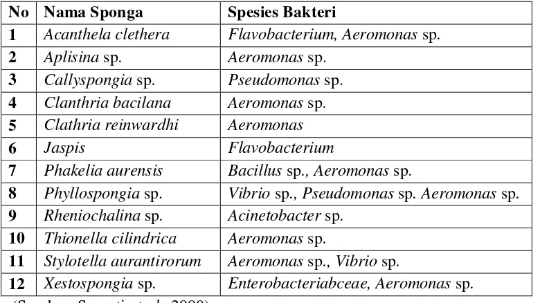Tabel 1.  Identifikasi bakteri yang berasal dari sponga 
