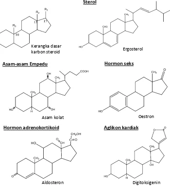 Gambar 8. Kerangka dasar karbon steroid dan beberapa contoh steroid  alam  berdasarkan kelompoknya (Sjamsul, 1986)