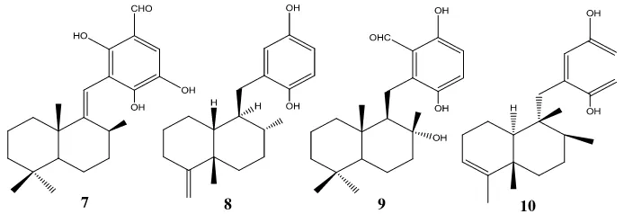 Gambar 9.  Beberapa jenis senyawa terpenoid yang diisolasi dari sponga serta memiliki fungsi bioaktivitas, siphonodictyal-A (9), siphonodictyal-B (7) dan (8) yang diketahui mempunyai aktivitas sebagai antimikroba dan Sesquiterpen avarol (10) menunjukkan ak