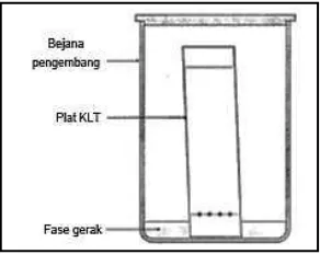 Gambar 12. Penampang Kromatografi Lapis Tipis. 