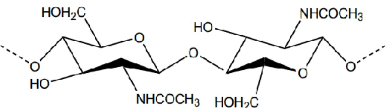 Gambar 2. 4 Struktur kimia Kitin (Islam, et al. 2011). 