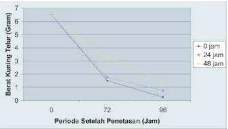 Gambar 2. Grafik pengaruh ketiadaan ransum setelah penetasan (0 – 48 jam) iiterhadap berat badan broiler pada interval 48 jam  