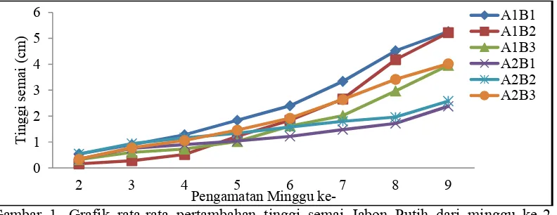 Gambar 1. Grafik rata-rata pertambahan tinggi semai Jabon Putih dari minggu ke-2 