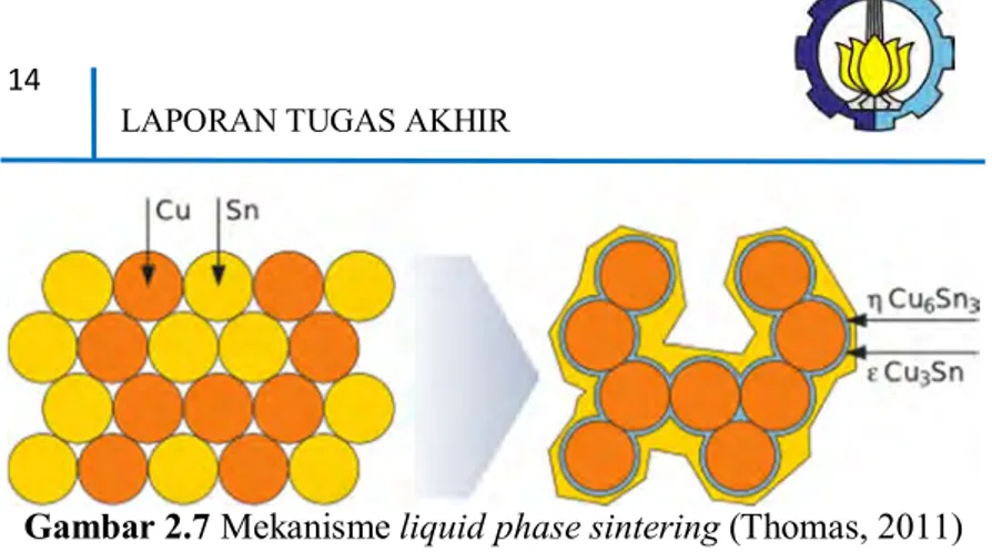 Gambar 2.7 Mekanisme liquid phase sintering (Thomas, 2011)  2.3  Cu-Sn 