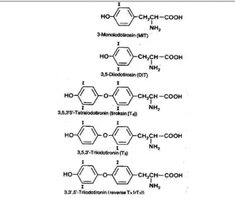 Gambar 2.2  Struktur kimia tiroksin (T4) dan triiodotironin (T3)
