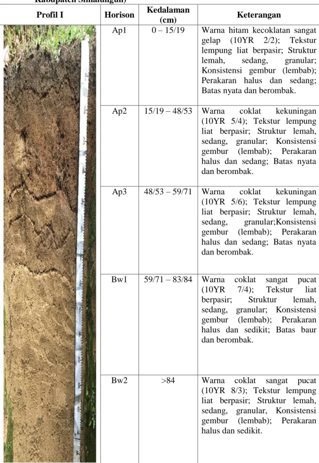 Tabel 3. Deskripsi Penampang Profil I (Di Kecamatan Jorlang Hataran,     Kabupaten Simalungun) 