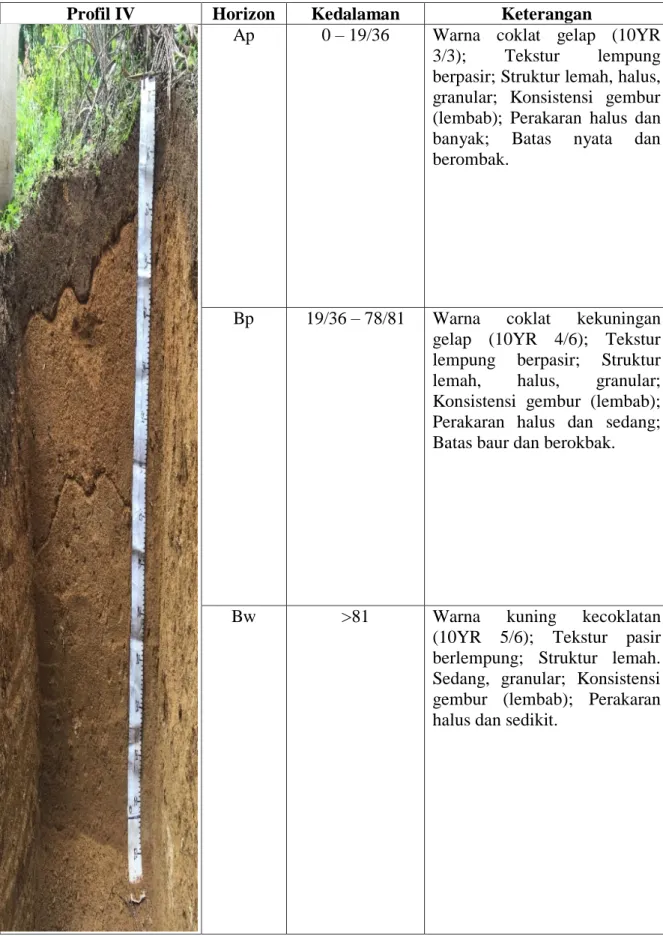 Tabel  6.      Deskripsi        Penampang        Profil        IV        (Di  Kecamatan  Jorlang  Hataran, Kabupaten Simalungun) 