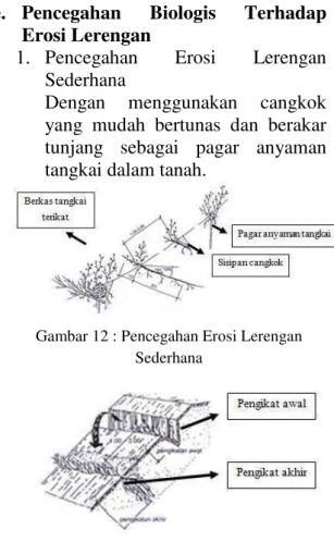 Gambar 13 : Pencegahan Erosi Lerengan dengan  pembangunan sisipan cangkok perdu yang akan 