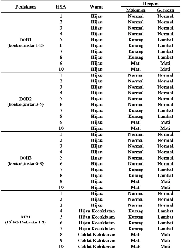Tabel 3. Gejala stadia larva  Setora  nitens yang terinfeksi oleh berbagai perlakuan  konsentrasi Sn-NPV  