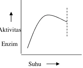 Gambar 2. Hubungan suhu dengan aktivitas enzim (Shahib, 2005)