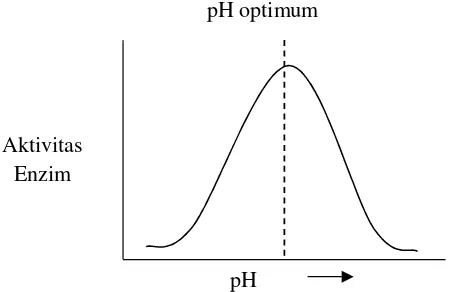 Gambar 3. Hubungan pH dengan aktivitas (Shahib, 2005)