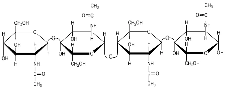 Gambar 1. Struktur kitin (Murray et al., 2003).