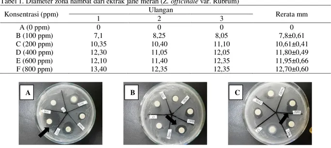Gambar 1. Zona Hambat Ekstrak jahe merah (Z. officinale var. Rubrum) dengan metode in vitro   Uji sensitivitas bahan aktif ekstrak jahe merah terhadap bakteri E