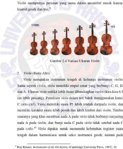 Gambar 2.4 Variasi Ukuran Violin 