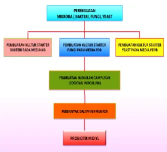 Gambar 1. Proses pembuatan probiotik MOIYL 