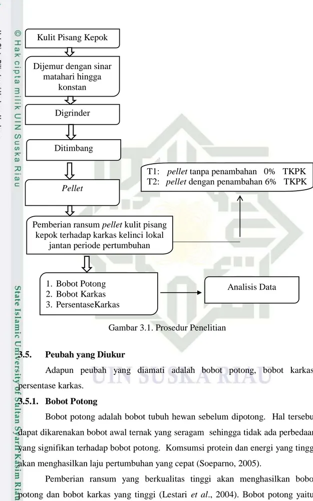 Gambar 3.1. Prosedur Penelitian 