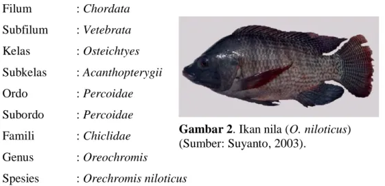 Gambar 2. Ikan nila (O. niloticus)  (Sumber: Suyanto, 2003). 