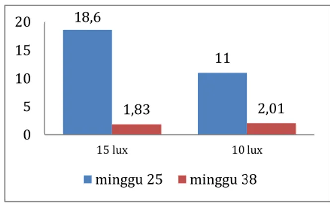 Gambar 1. Grafik produksi dan berat telur  pada pemeliharaan pada umur 25 minggu 