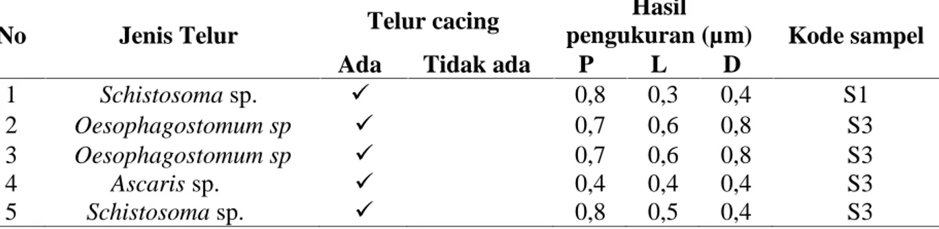 Tabel 1. Hasil pengamatan identifikasi telur cacing dengan metode natif feses sapi (Bos sp.)