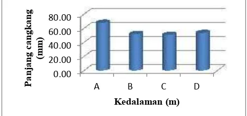Gambar 1. Rerata laju pertumbuhan panjang cangkang tiram mutiara (P. maxima)