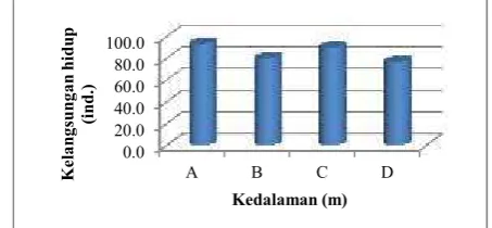 Gambar 3. Rerata kelangsungan hidup anakan tiram mutiara (P. maxima)