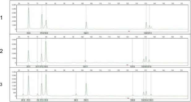 Gambar  Gambar 1. Rerata kuantitas DNA yang diperoleh dengan protokol a (sampel dihancurkan dengan micro  pestle tanpa GT Buffer), b (sampel dihancurkan dengan tissue lyser tanpa GT Buffer), c (sampel dihancurkan  dengan tissue lyser dan ditambah GT Buffer
