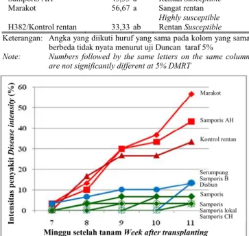Gambar 1. Perkembangan intensitas penyakit  layu  bakteri  pada delapan kultivar tembakau bondowoso