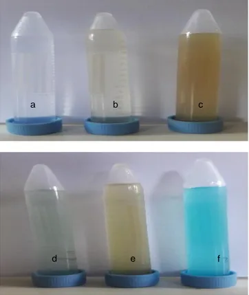 Gambar 1 Karakter  warna  larutan  saat  pembentukan  nanokitosan-Ag/Cu  a)  larutan  AgNO 3  30  µM,  b)  kitosan 0,2%, c) AgChNPs, d) Larutan CuSO4 30  µM, e) kitosan 0,2%, dan f) CuChNPs