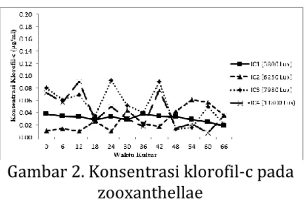 Gambar 2. Konsentrasi klorofil-c pada  zooxanthellae 