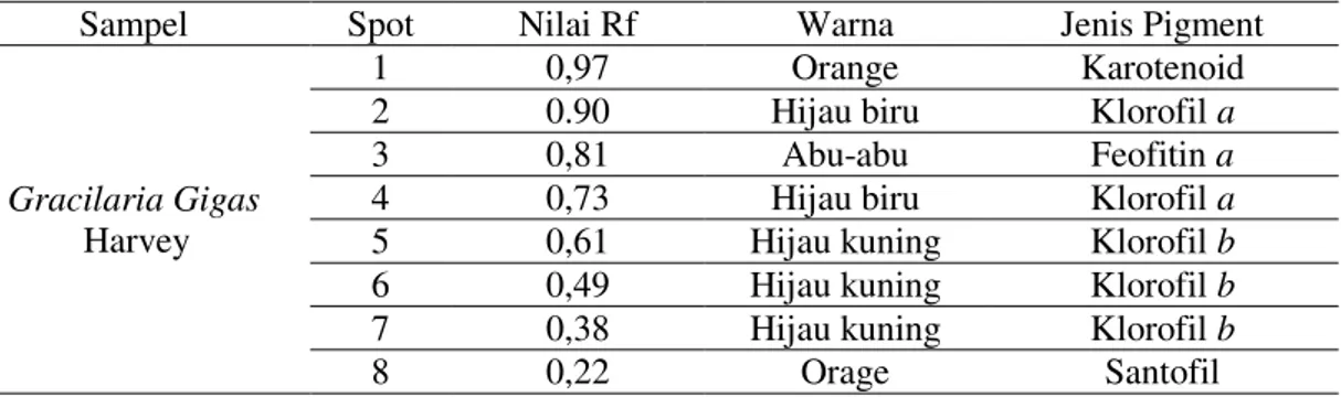 Tabel 1. Nilai Rf pigmen pada G. gigas dengan pelarut dengan pelarut aseton:dietil eter: heksan  ( 2:3:6) v/v/v 