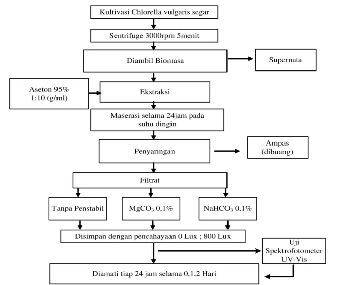 Gambar 1. Diagram Alir Metode Pengujian Stabilitas Klorofil  HASIL DAN PEMBAHASAN 