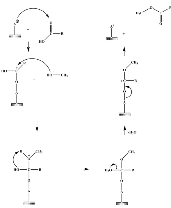 Gambar 2.3 Mekanisme reaksi esterifikasi (Kirumakki dkk., 2004) 