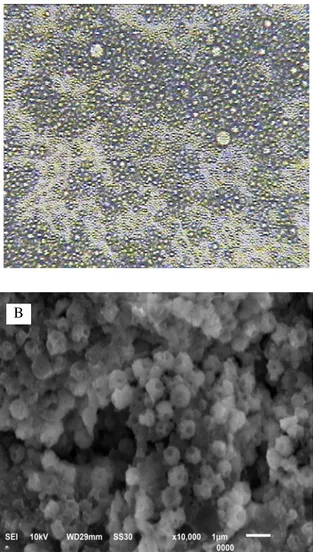 Gambar 4. Mikrokapsul jeruk nipis  MF:  A)  Citra  mikroskop yang  dilengkapi video  analyzer  (perbesaran  640X);  B)  Citra  SEM perbesaran 10.000 X