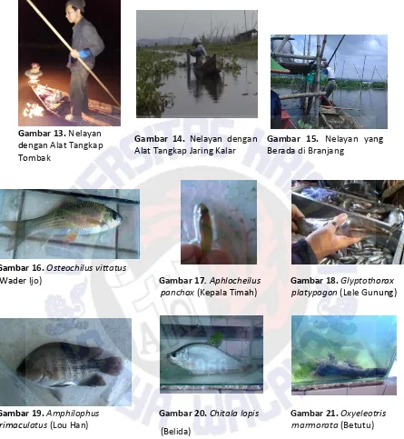 Gambar 13. Nelayan 