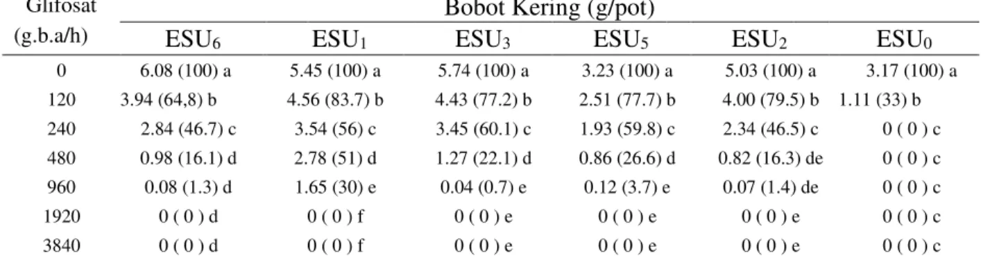 Tabel 5. Pengaruh aplikasi herbisida glifosat terhadap bobot kering E.indica pada populasi resisten 