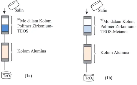 Gambar 1. Desain sistem kromatografi dengan adsorben polimer zirkonium-TEOS (a) dan adsorben polimer 