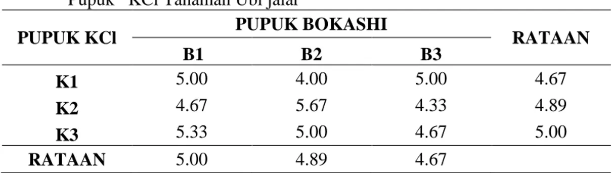 Tabel  6.  Rataan    Kadar    Gula  (Brix)  Pada  Pemberian    Pupuk  Bokashi  dan  Pupuk   KCl Tanaman Ubi jalar 