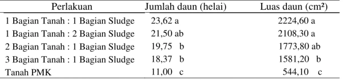 Tabel  2.    Rata-rata  jumlah  daun  (helai)  dan  luas  daun  (cm²)  bibit  kakao  umur         4  bulan  pada  perlakuan  tanah  PMK  dengan  limbah  padat  (sludge)  pabrik kelapa sawit