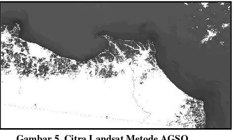 Gambar 4. Citra Landsat Komposit Band 4, 5, 7 