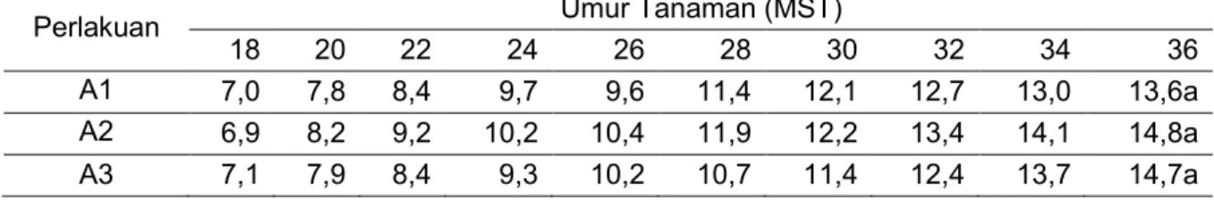 Tabel 3. Rataan Jumlah Daun pada pengamatan 18 – 36 MST (Interval 4 Bulan) 