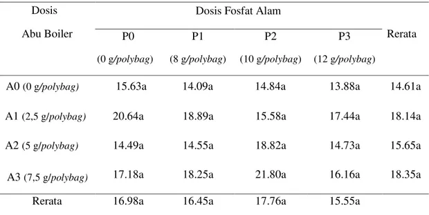 Tabel 4. Rata-rata berat kering bibit  kelapa sawit varietas Marihat dengan     pemberian  faktor abu boiler dan fosfat alam pada umur 6 bulan 