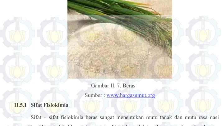 Gambar II. 7. Beras