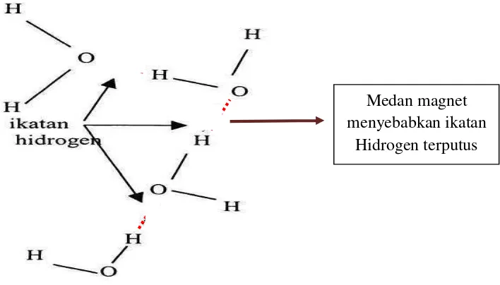 Gambar 2.  Ikatan Hidrogen pada molekul air (Susana, 2003) 
