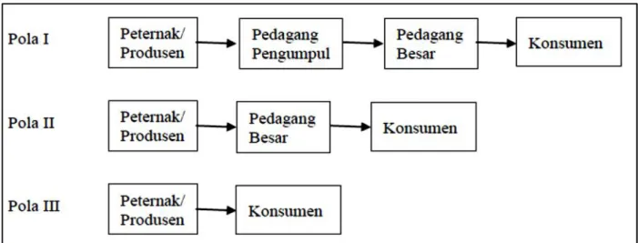 Gambar 4.  Pola Pemasaran Kerbau Rawa di Kawasan Peternakan Kerbau Rawa Pola  pemasaran  kerbau  rawa  yang